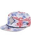 Atlanta Braves Printed Golfer Hat